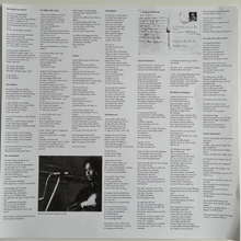 Laden Sie das Bild in den Galerie-Viewer, LP - DIE GOLDENEN ZITRONEN "PUNKROCK" (ROTES VINYL)
